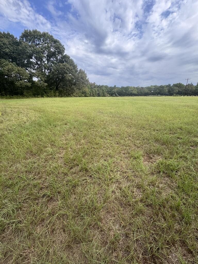 15.5 acres in ANDERSON County - photo 41