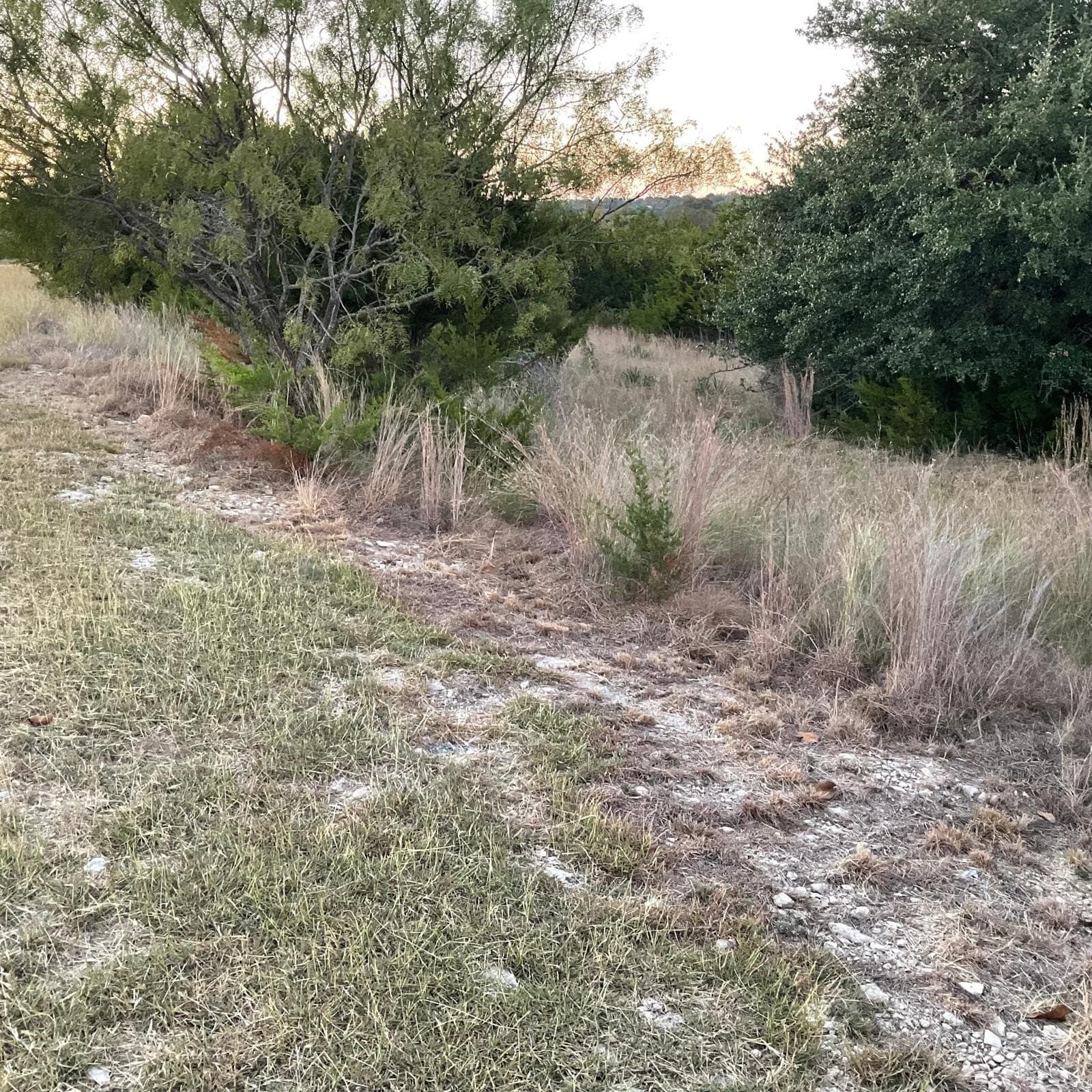 2.04 acres in Lampasas County gallery image 2