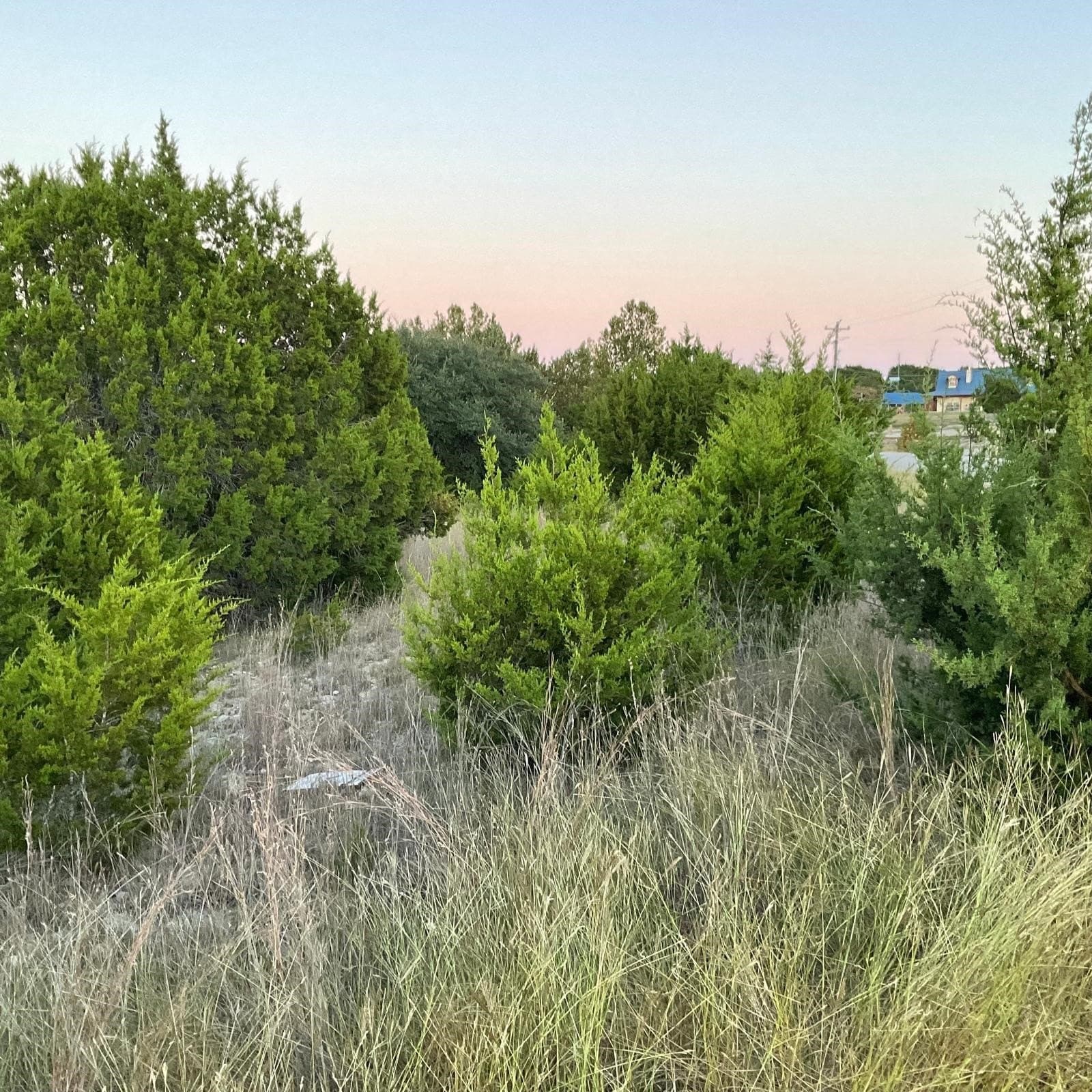 2.04 acres in Lampasas County gallery image 3
