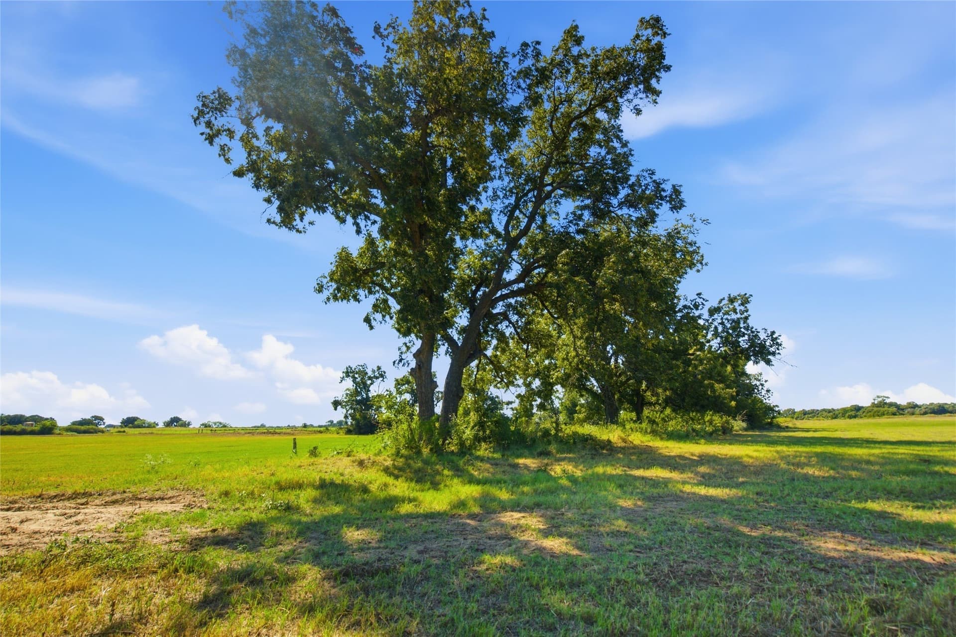 30.87 acres in Parker County - photo 2