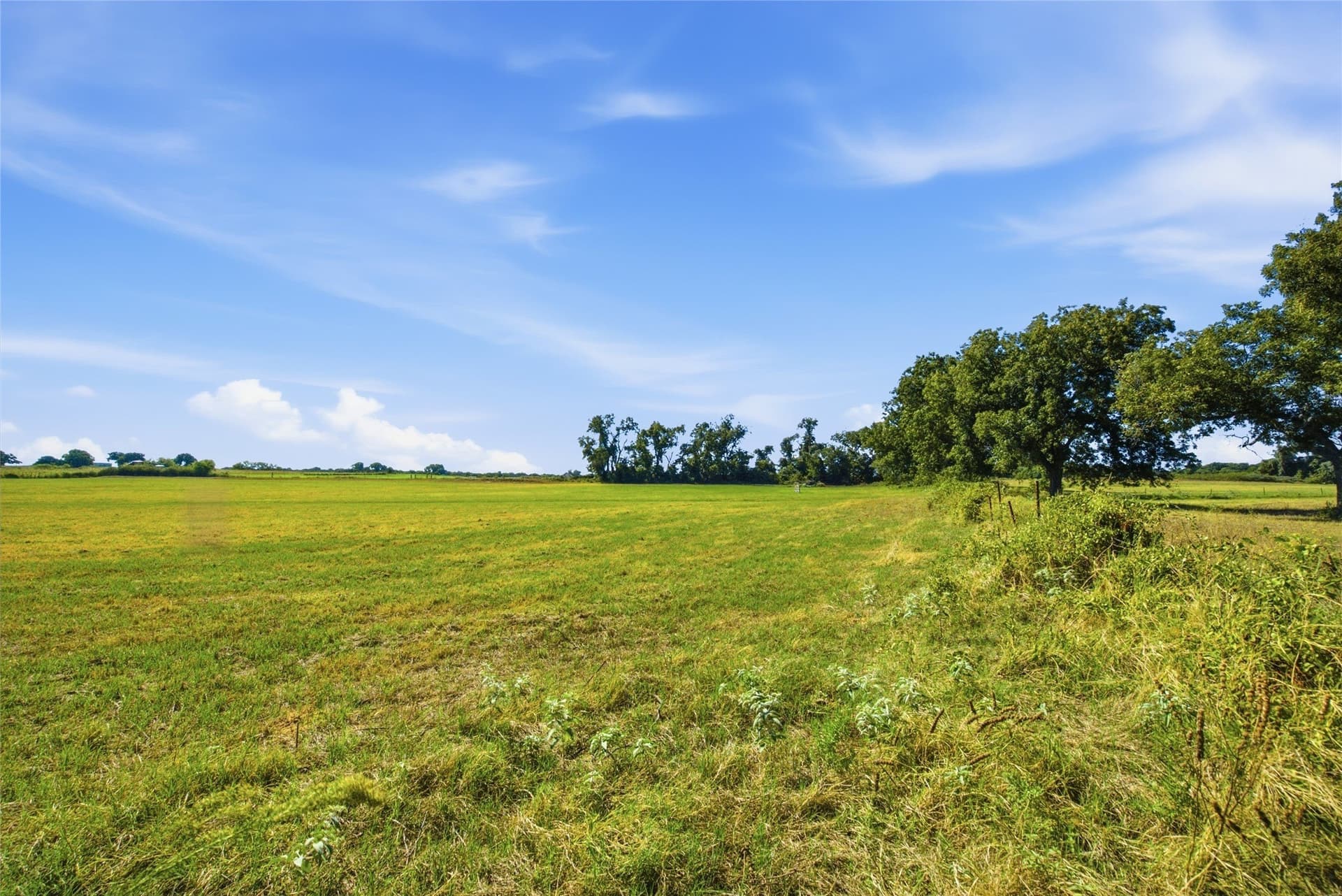 30.87 acres in Parker County - photo 8