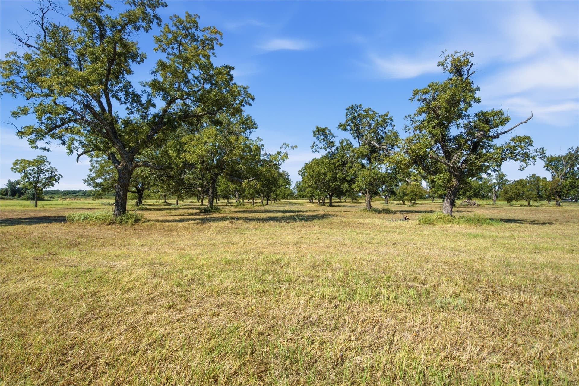 30.87 acres in Parker County - photo 9