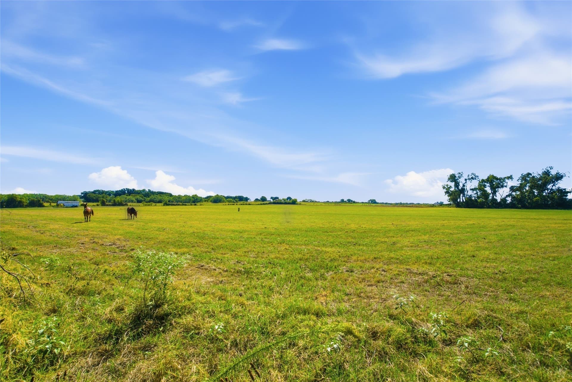 30.87 acres in Parker County - photo 7
