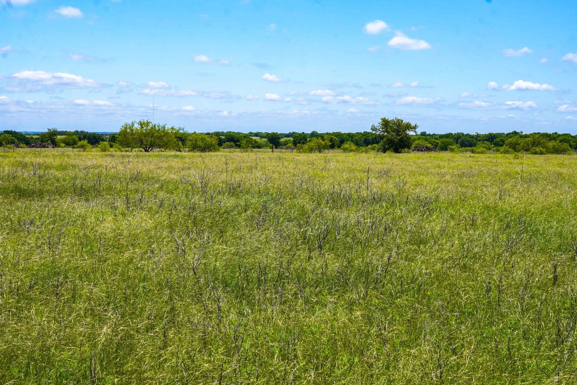20.92 acres in Jack County - photo 10