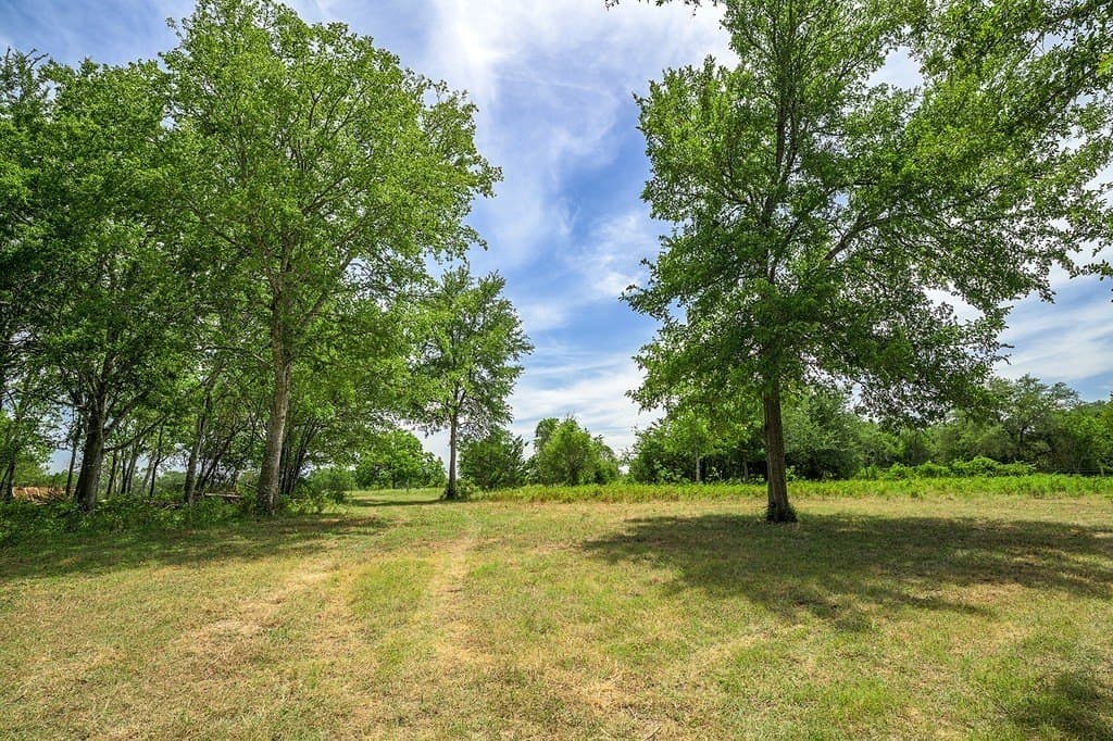 21.6 acres in Fayette County gallery image 4