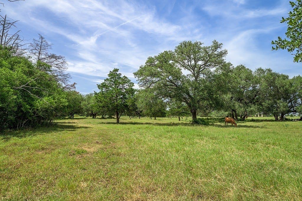 21.6 acres in Fayette County gallery image 3