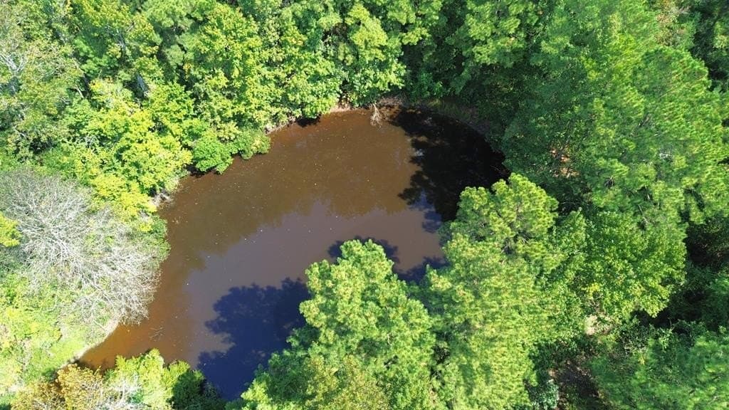 21 acres in Texas County