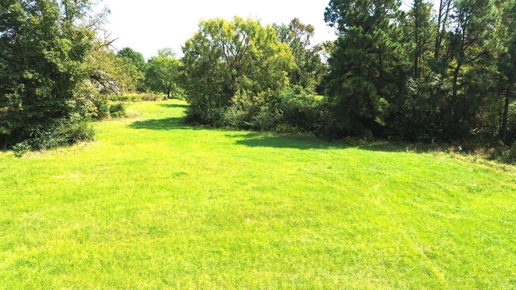 21 acres in Texas County gallery image 2