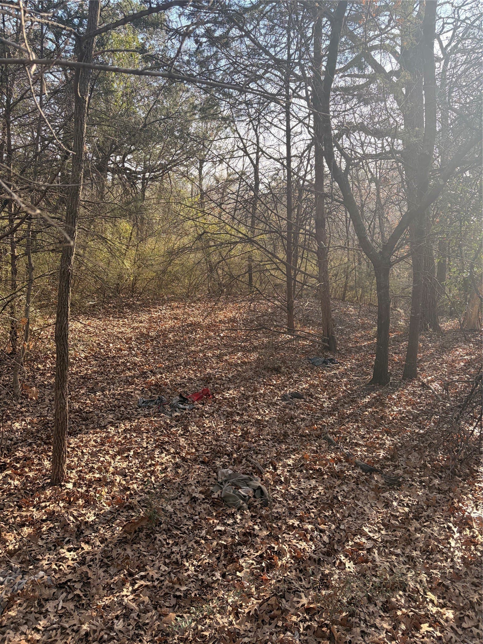 0.64 acres in Dallas County gallery image 2