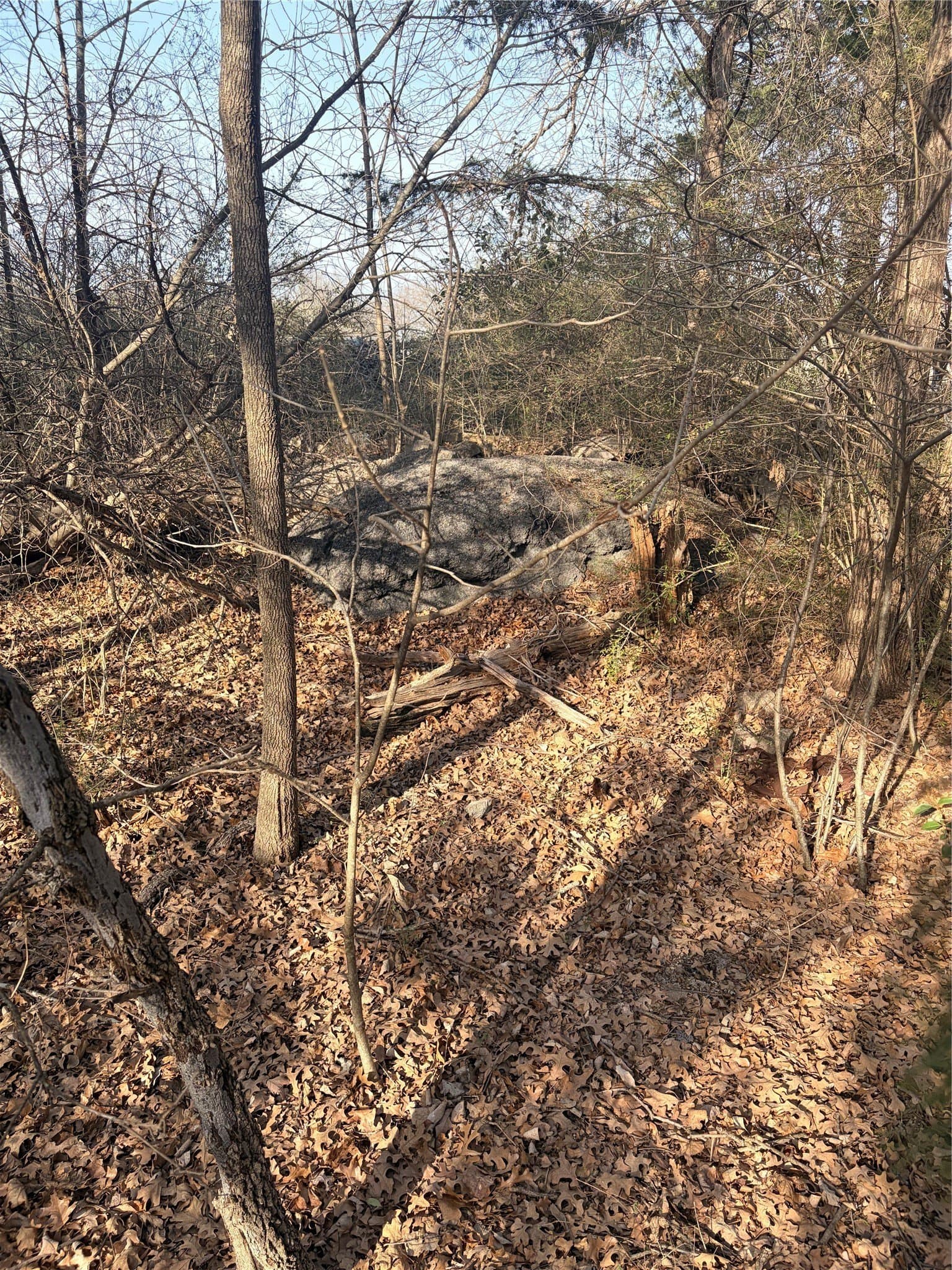 0.64 acres in Dallas County gallery image 4