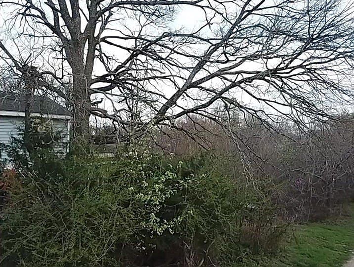 0.64 acres in Hunt County - photo 9