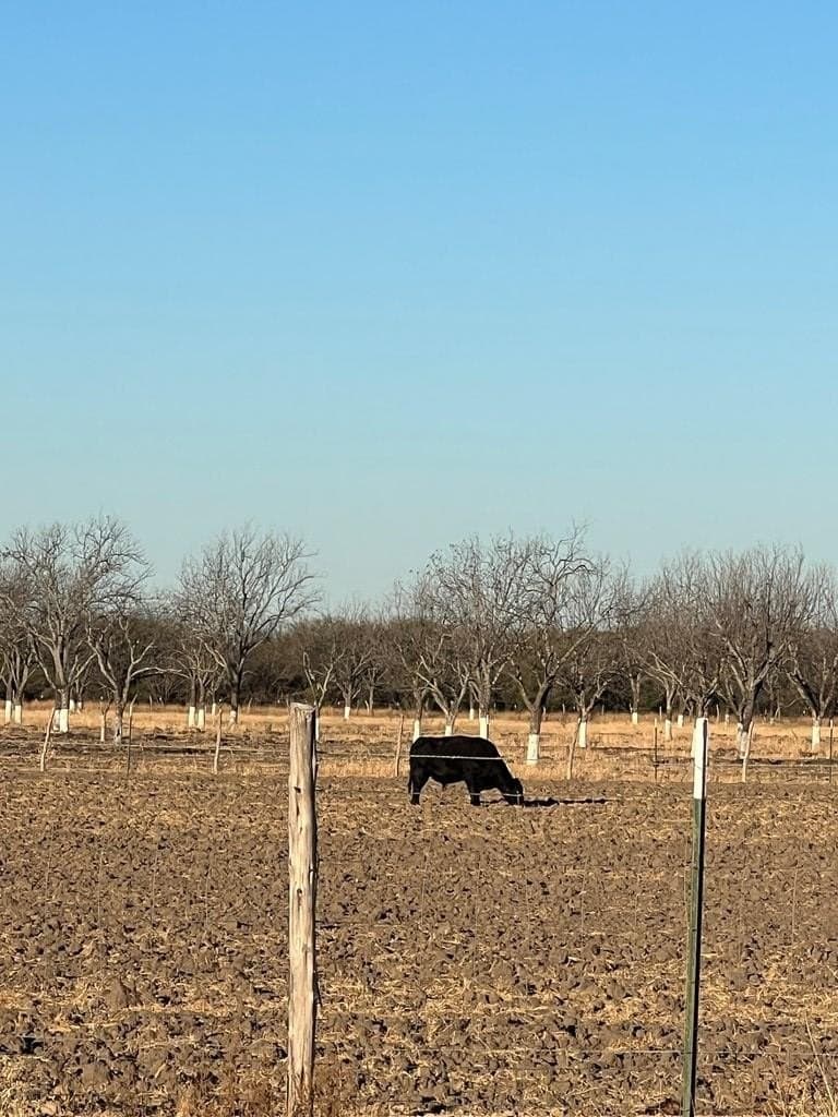 10 acres in Maverick County featured view
