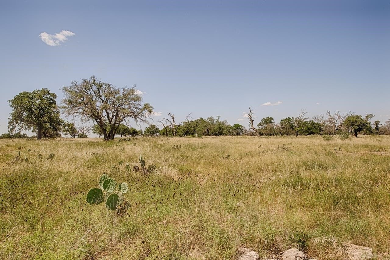 5.7 acres in Gillespie County gallery image 3