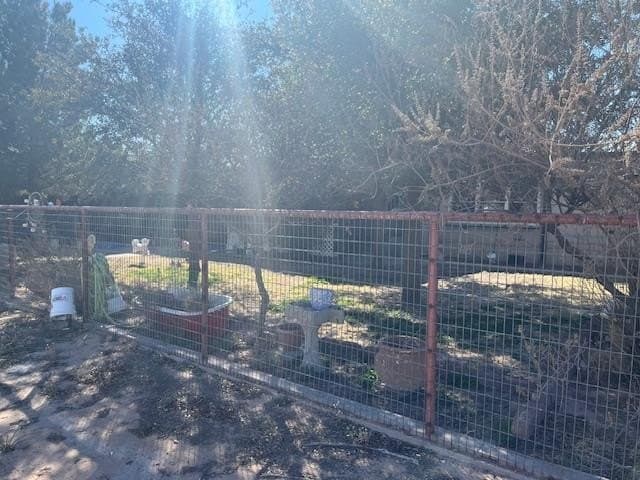 10 acres in Ward County gallery image 2