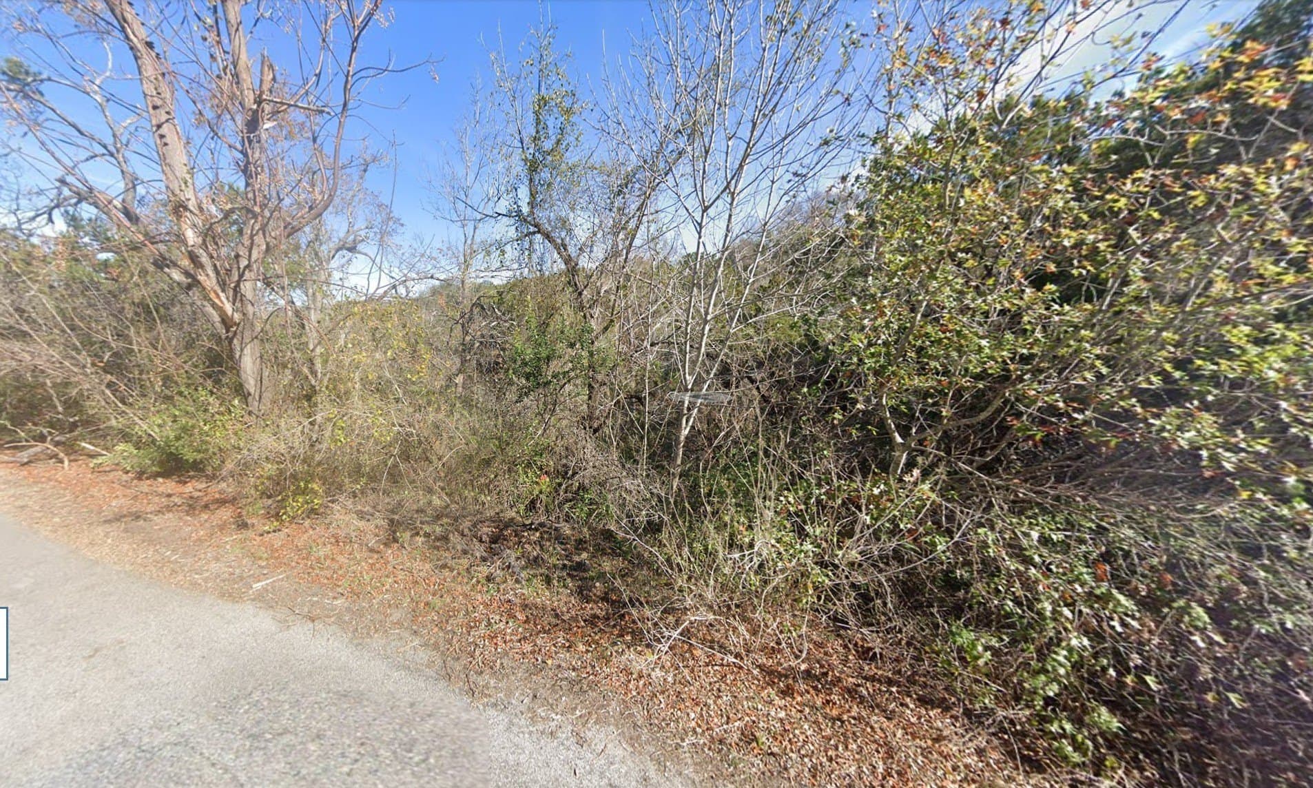 0.39 acres in Travis County gallery image 2
