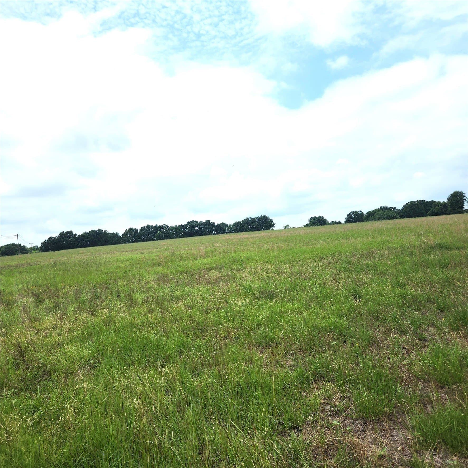 20.34 acres in Henderson County - photo 6