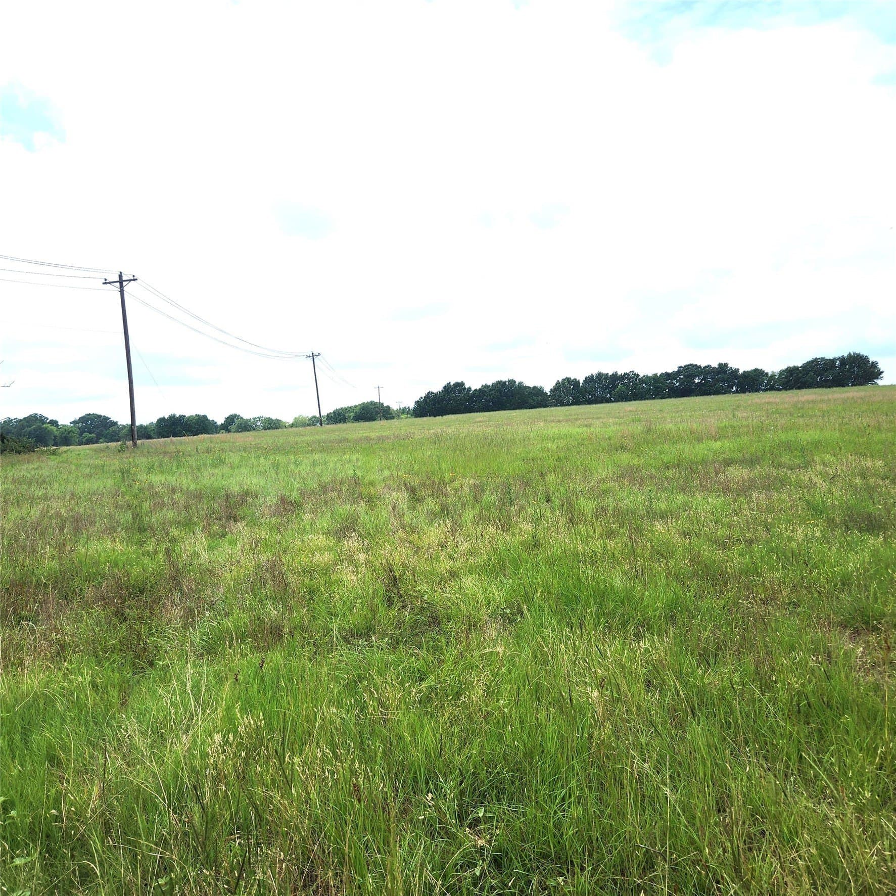 20.34 acres in Henderson County - photo 5