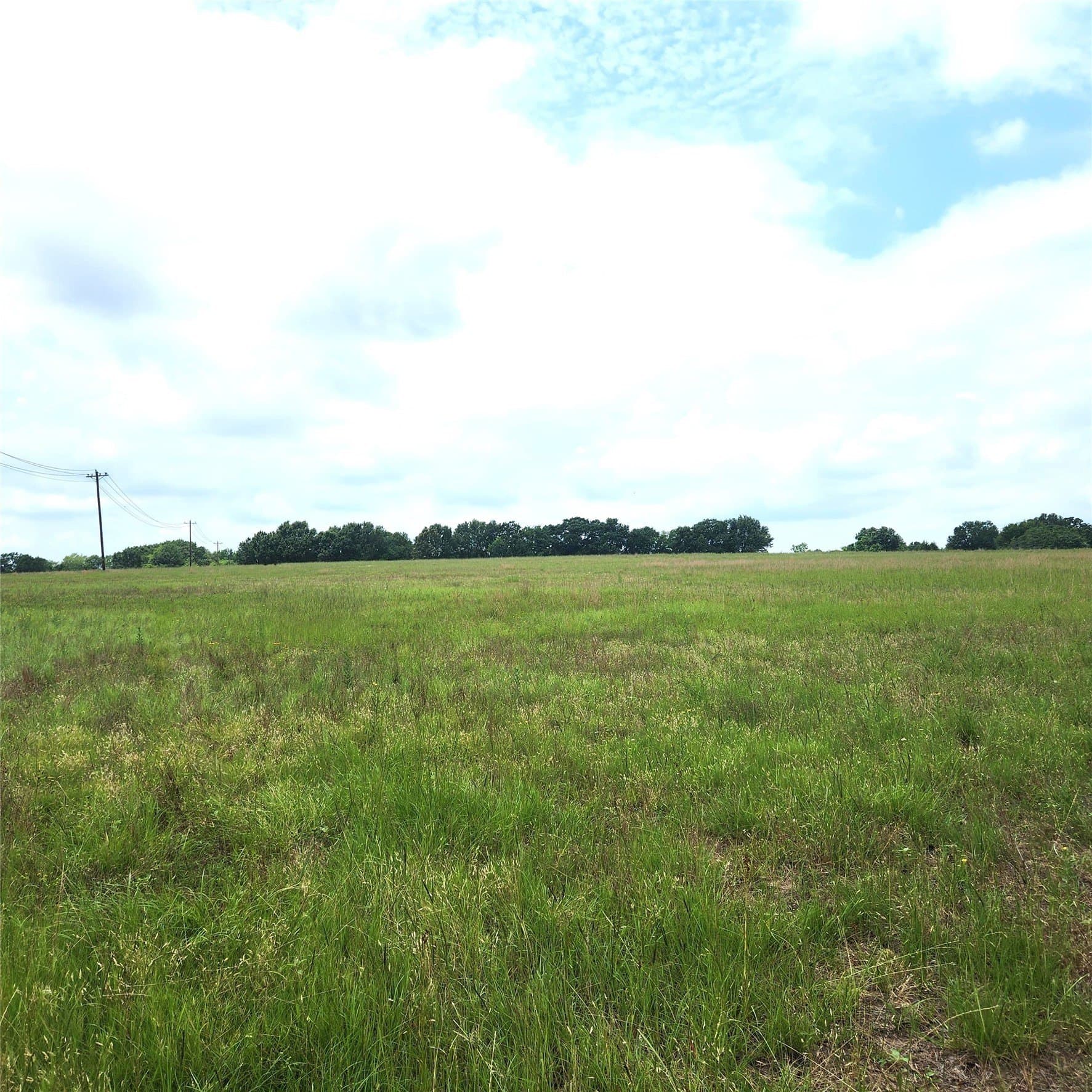 20.34 acres in Henderson County - photo 3