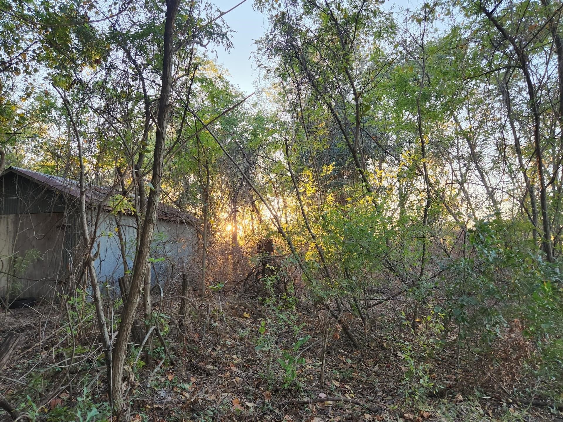 20.34 acres in Henderson County - photo 7