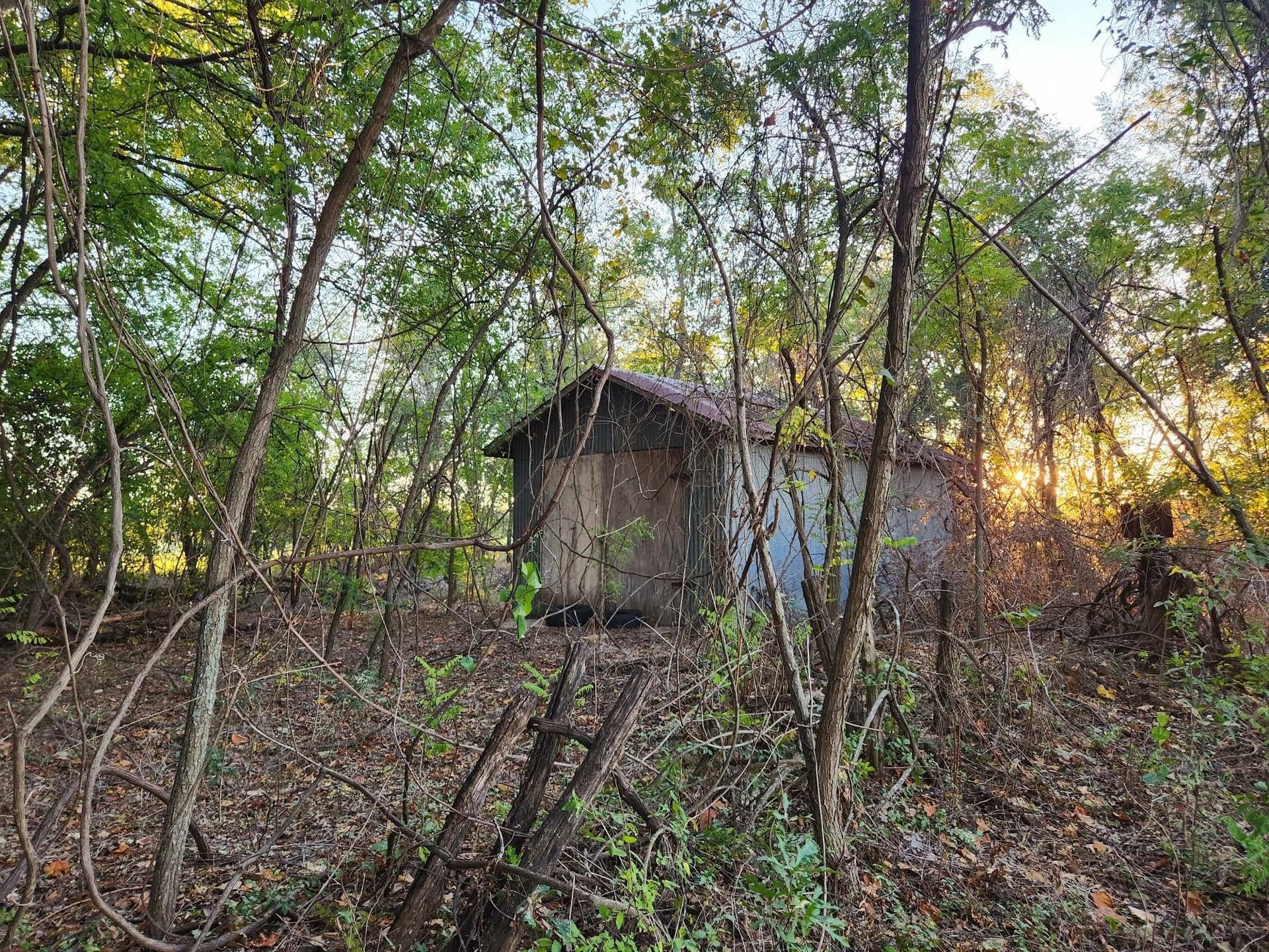 20.34 acres in Henderson County - photo 8