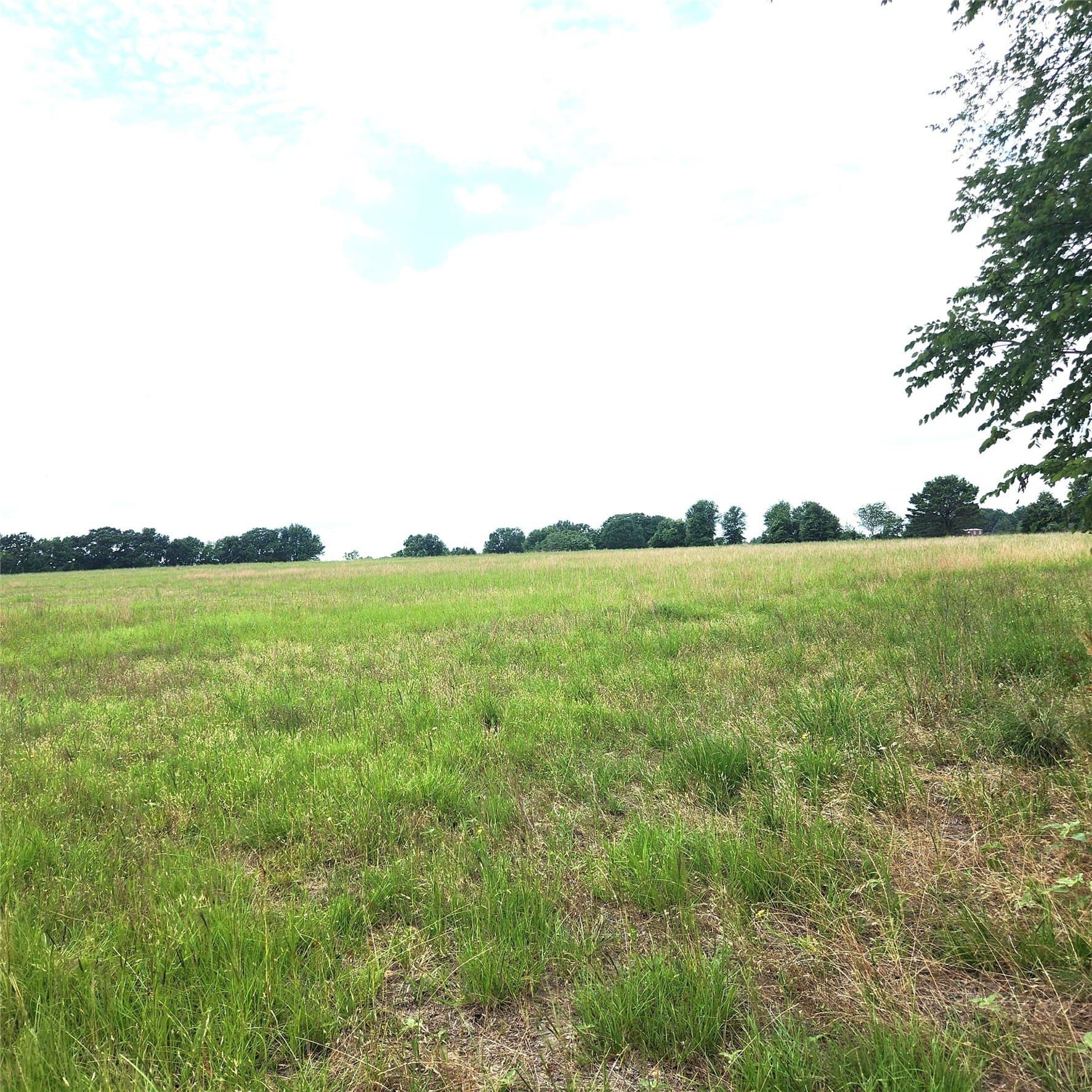 20.34 acres in Henderson County