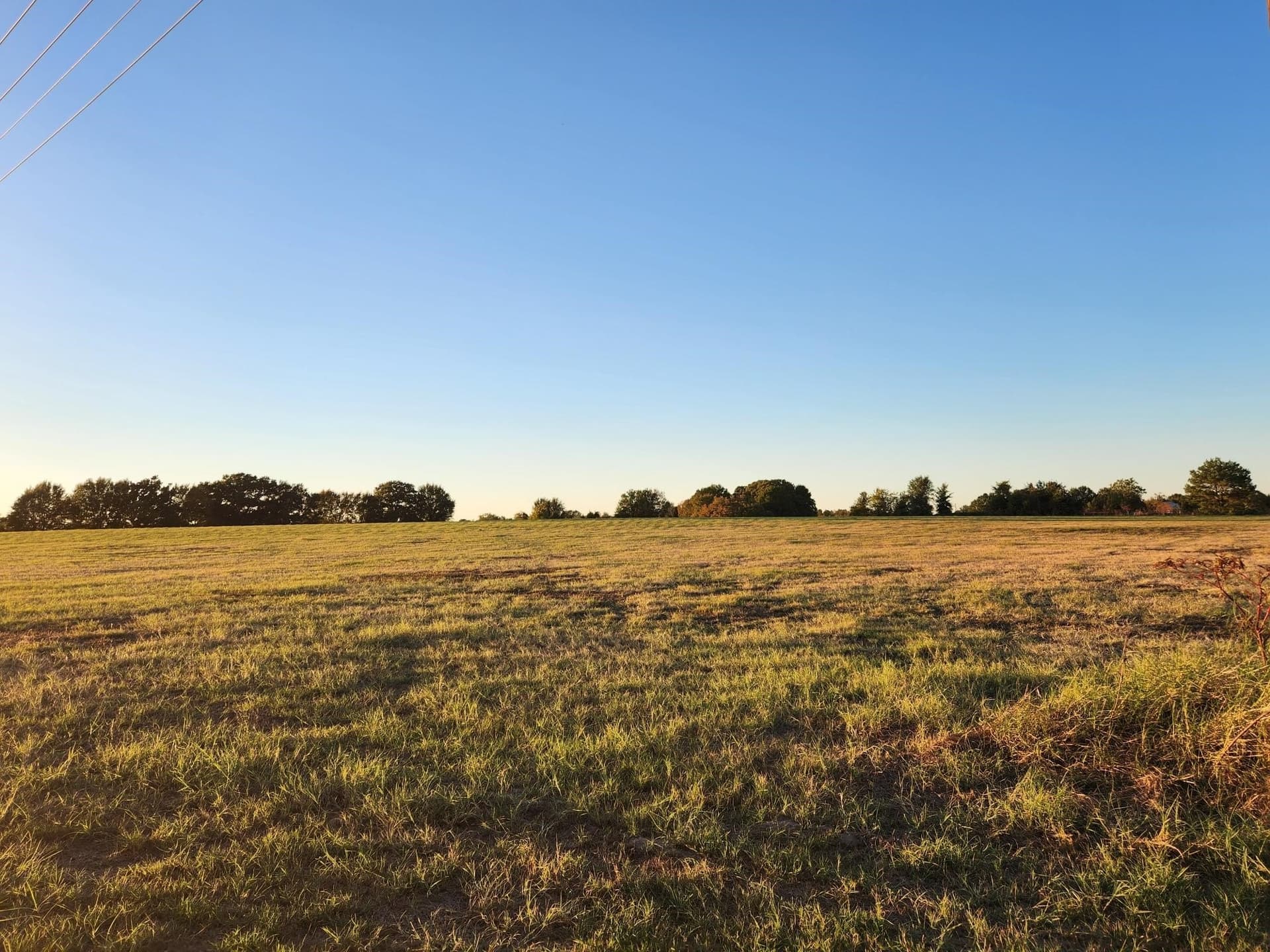 20.34 acres in Henderson County gallery image 4