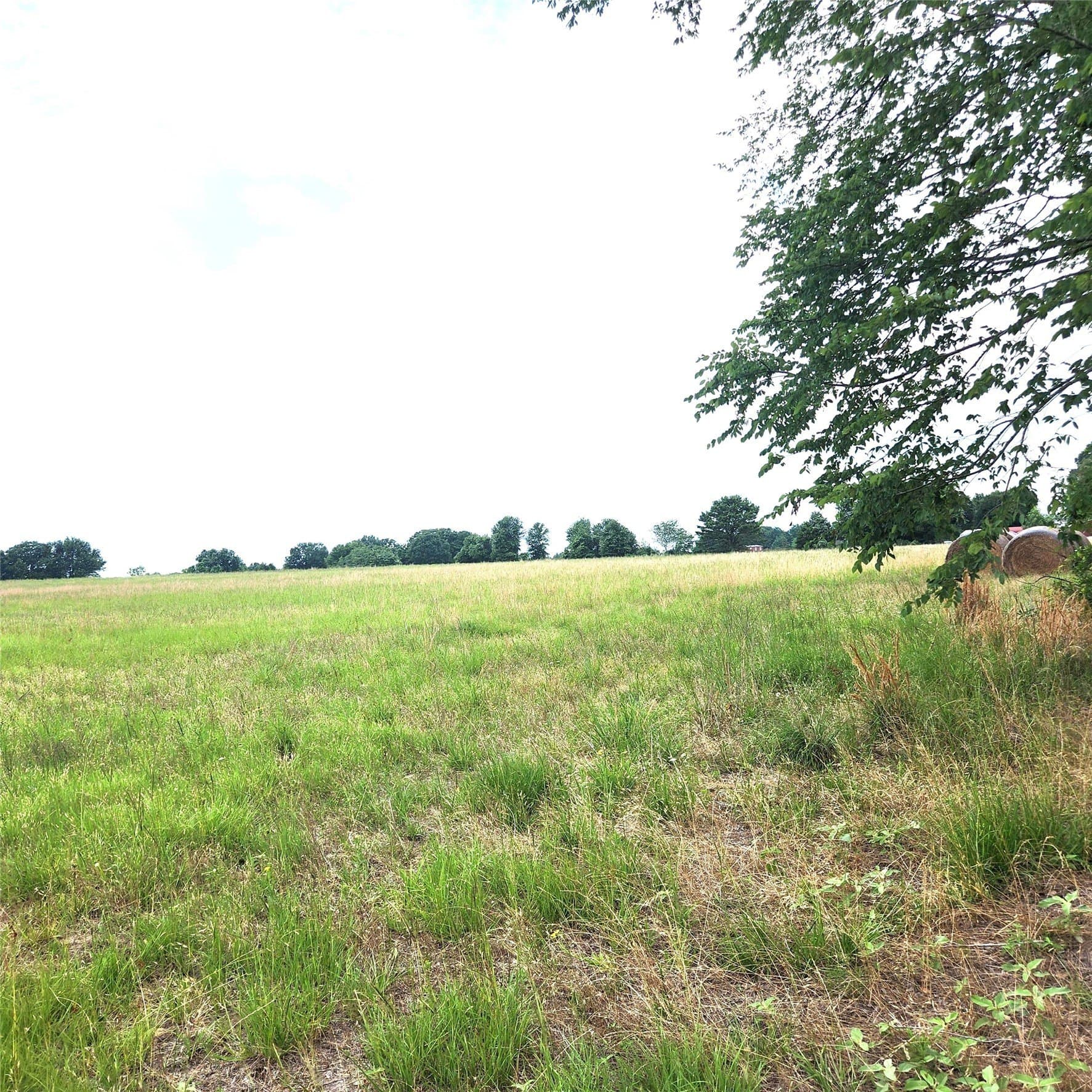 20.34 acres in Henderson County - photo 2
