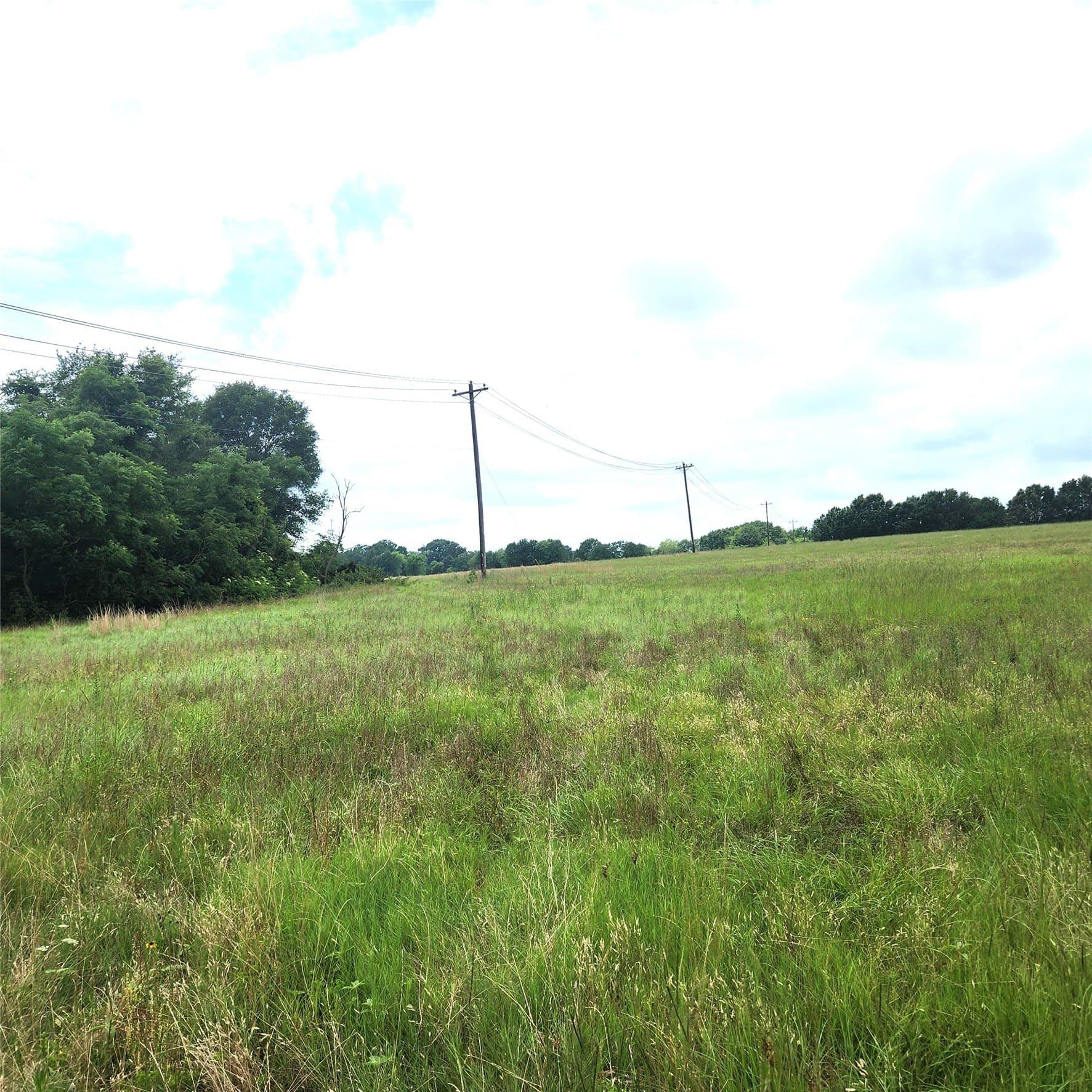20.34 acres in Henderson County - photo 4