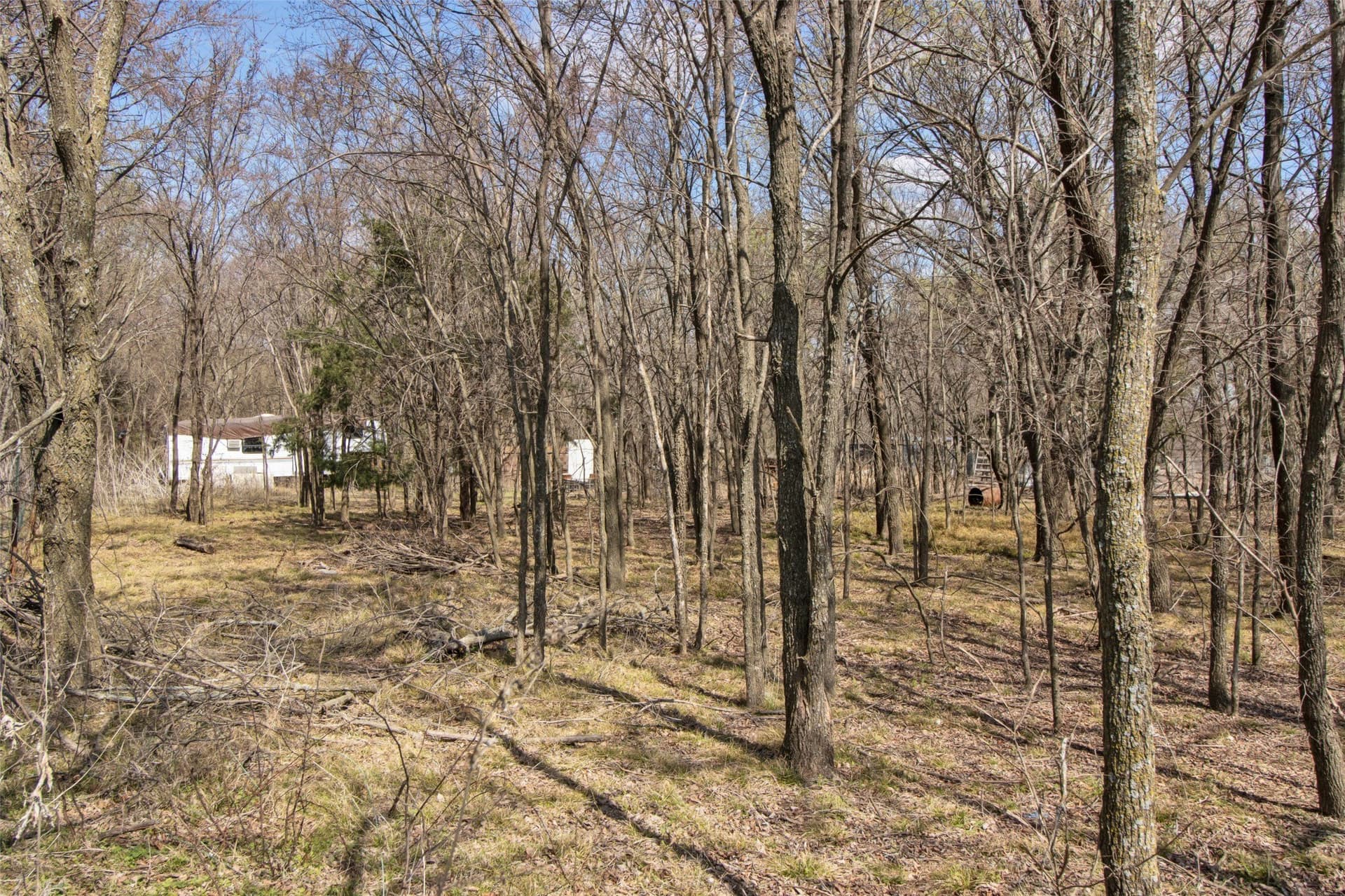 1 acres in Grayson County gallery image 4