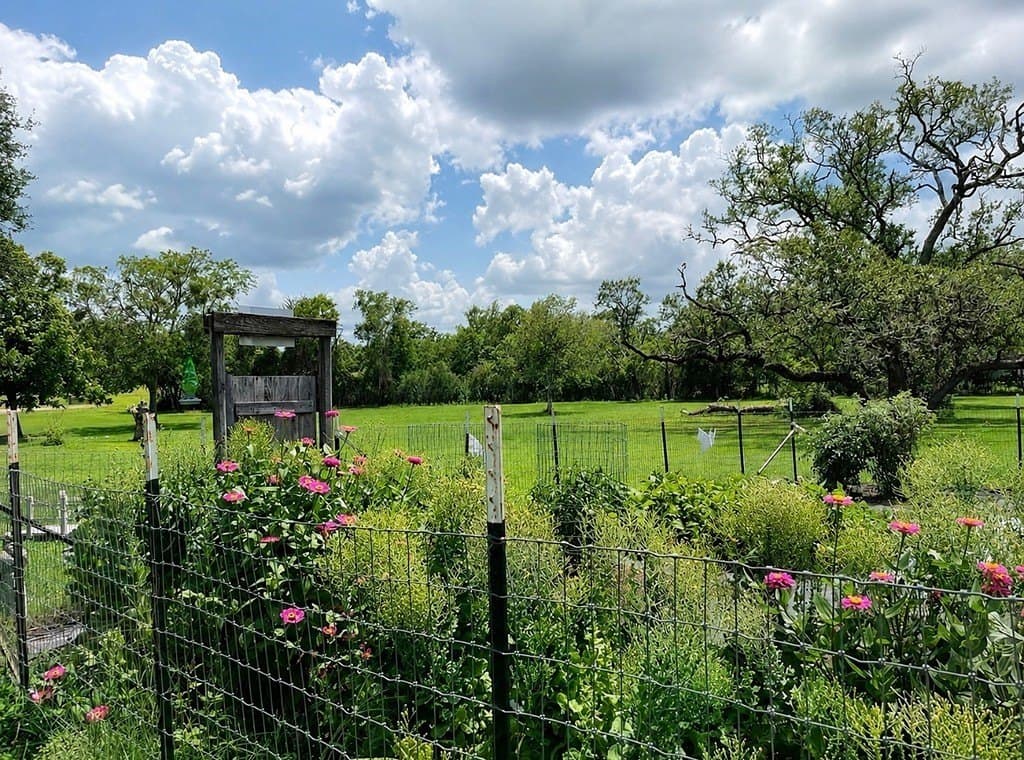 2.01 acres in Fayette County - photo 29
