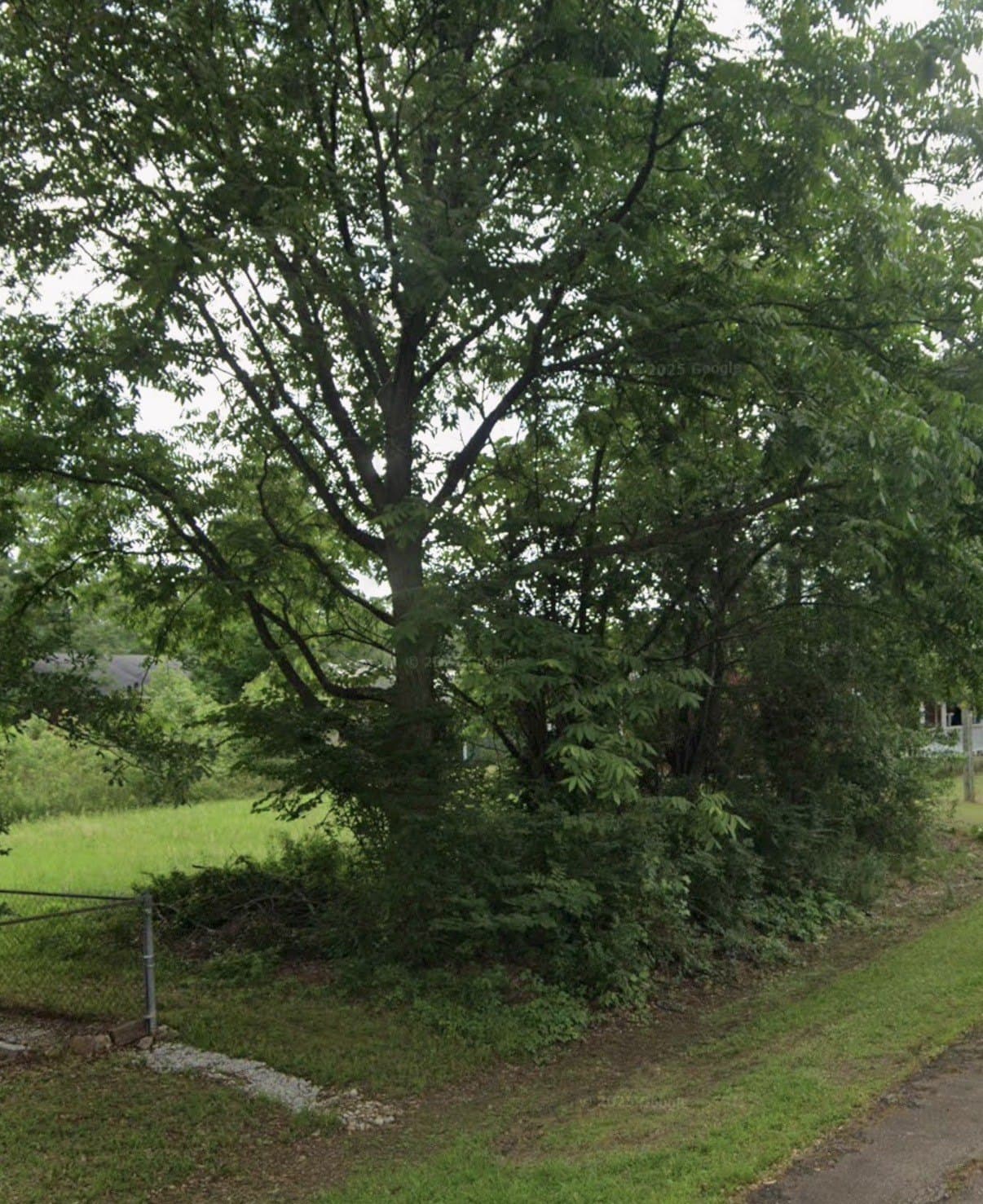 0.25 acres in Bowie County gallery image 3