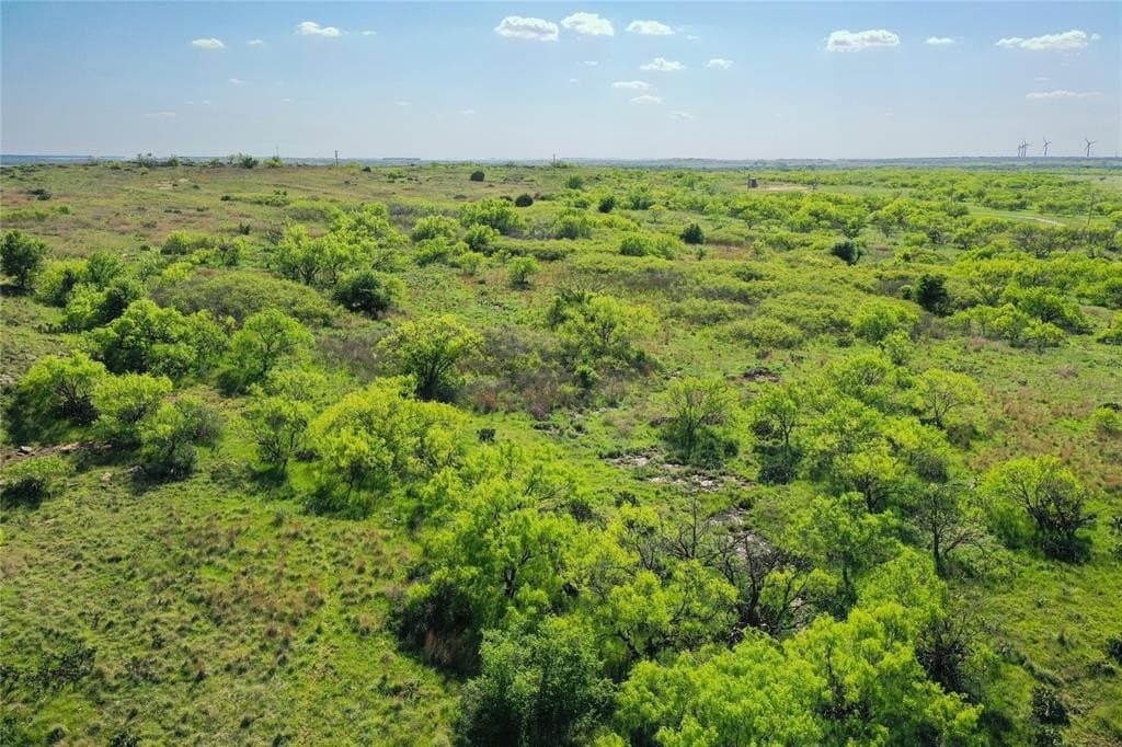 48 acres in Jack County featured view