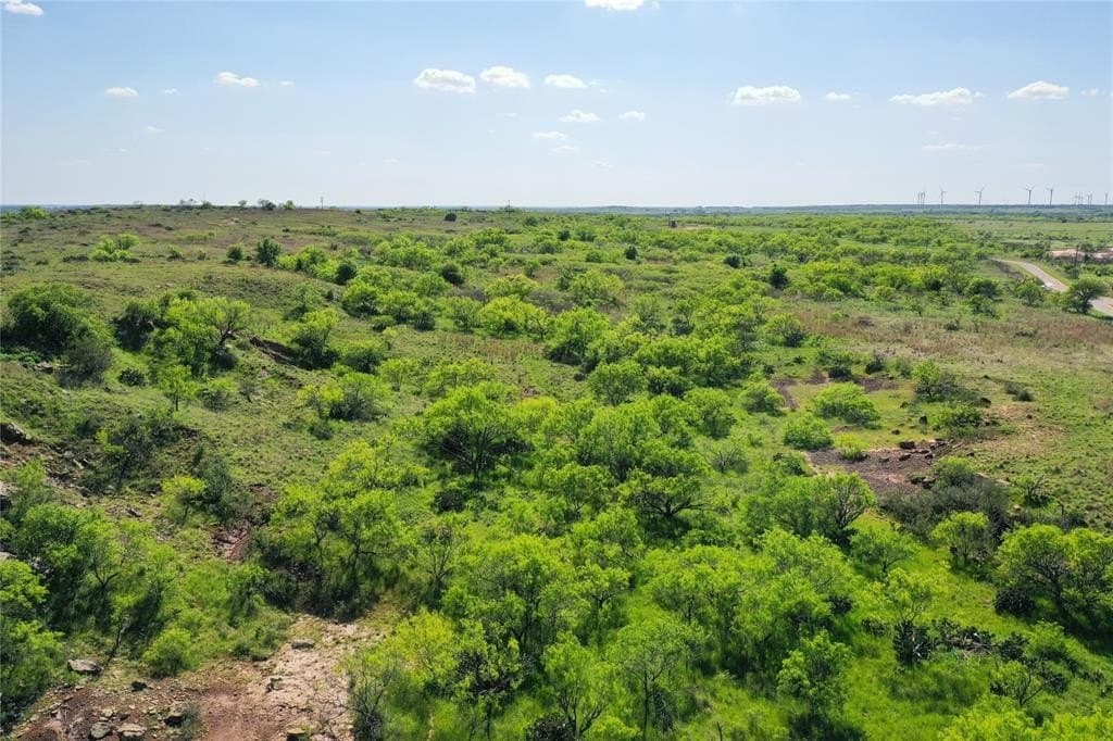 48 acres in Jack County gallery image 4