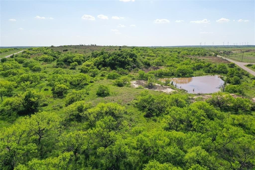 48 acres in Jack County gallery image 2