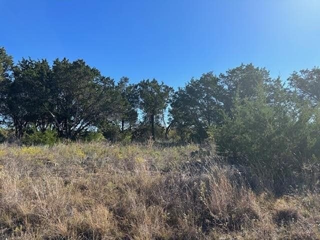 5.01 acres in Palo Pinto County gallery image 3