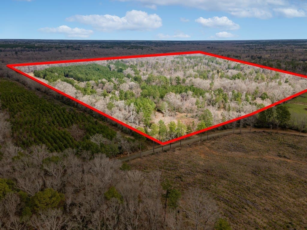 111.55 acres in Texas County gallery image 2