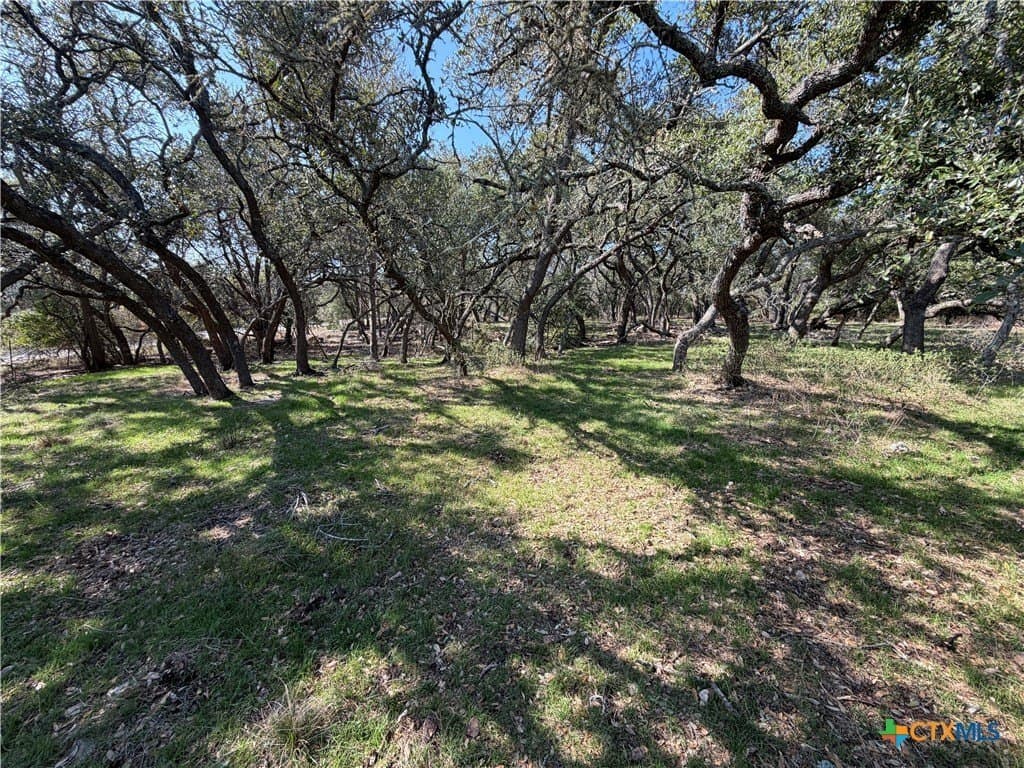2.8 acres in Comal County gallery image 2