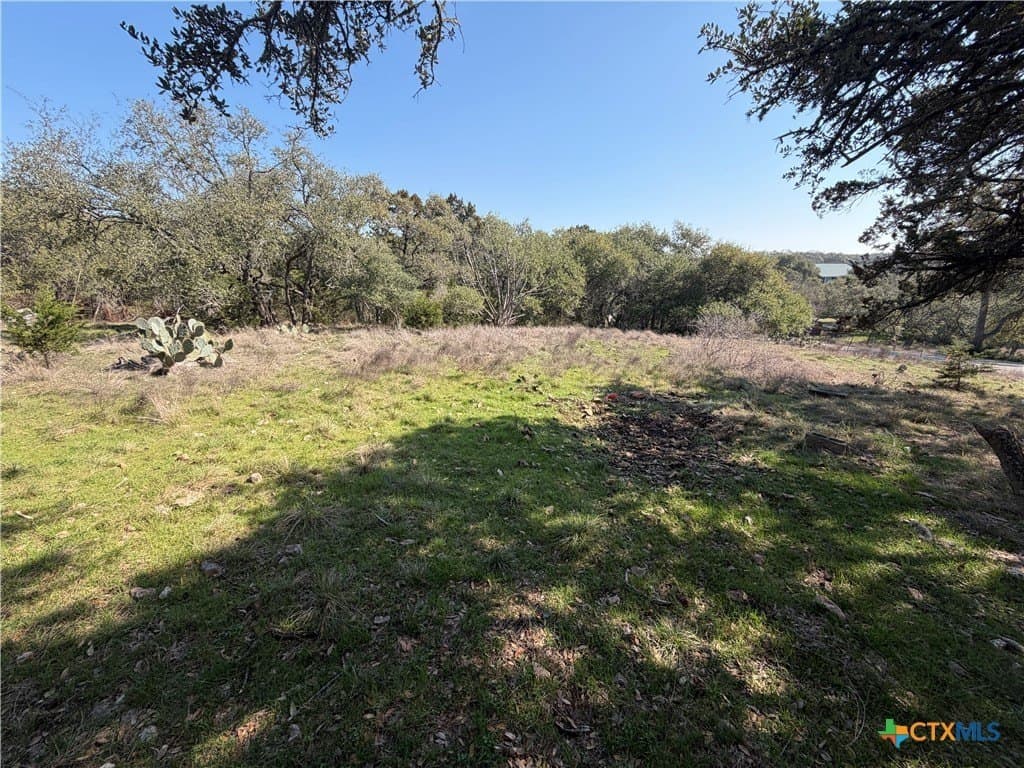 2.8 acres in Comal County gallery image 3