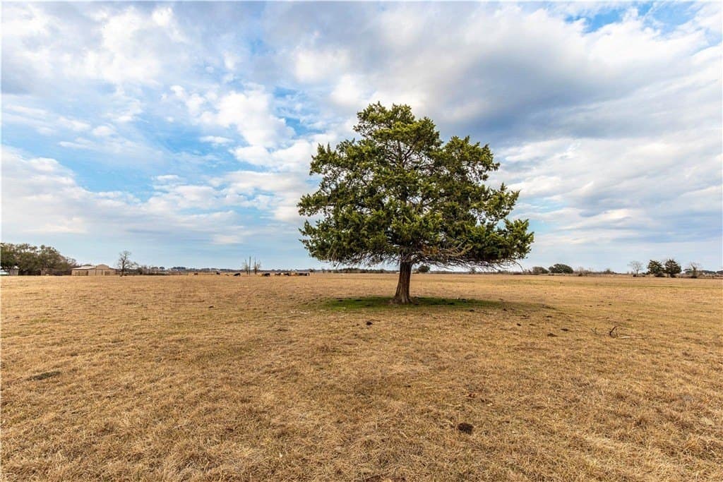 33.5 acres in AUSTIN County - photo 4