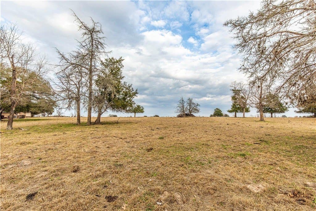 33.5 acres in AUSTIN County - photo 10