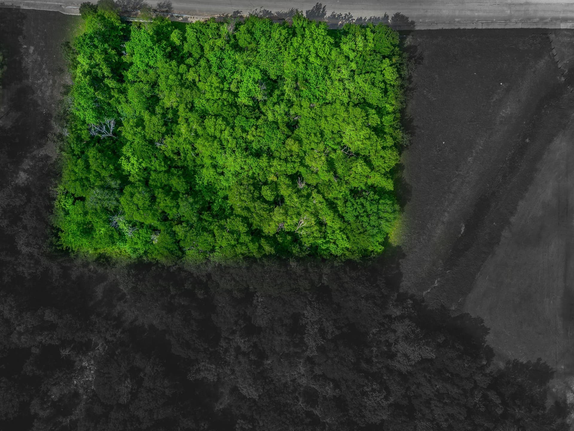 1 acres in Johnson County - photo 8