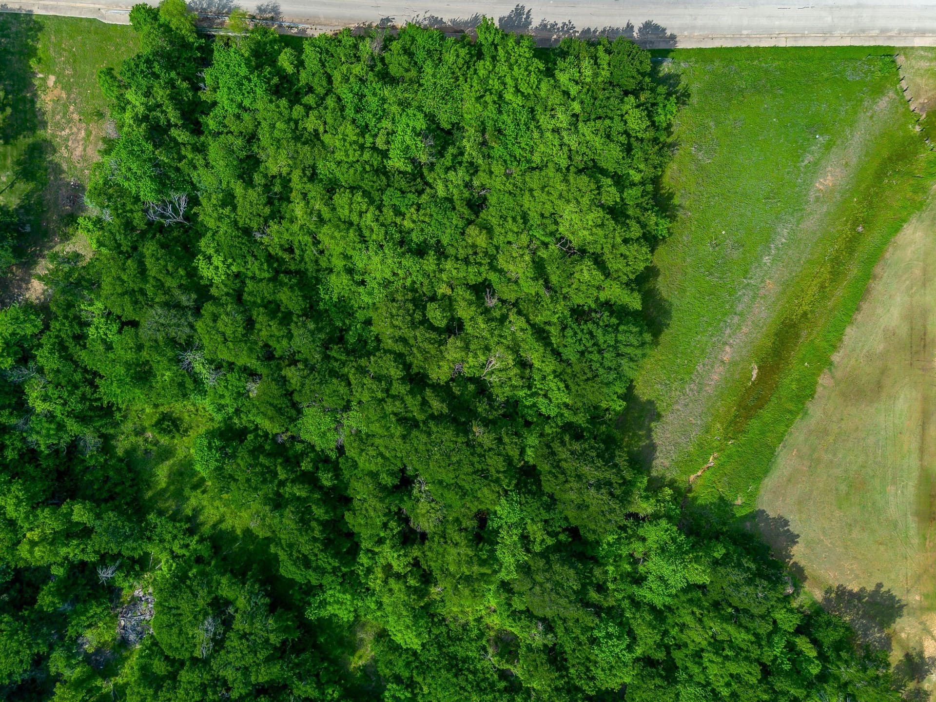 1 acres in Johnson County gallery image 2