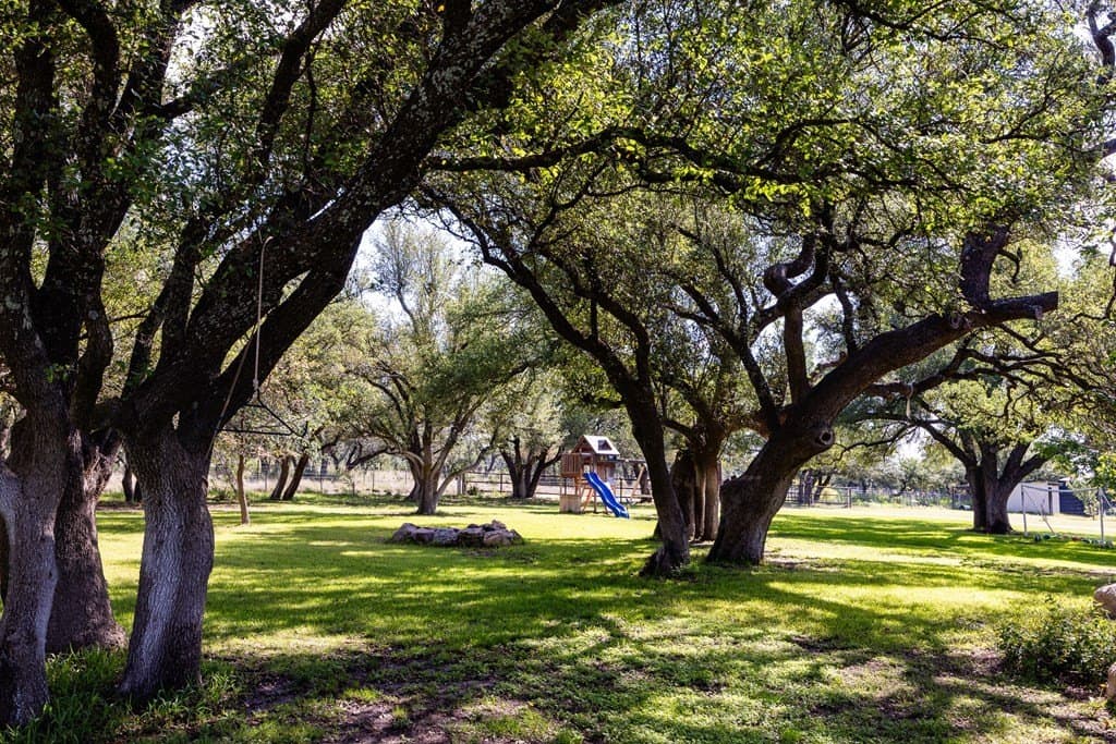 10 acres in Gillespie County - photo 7