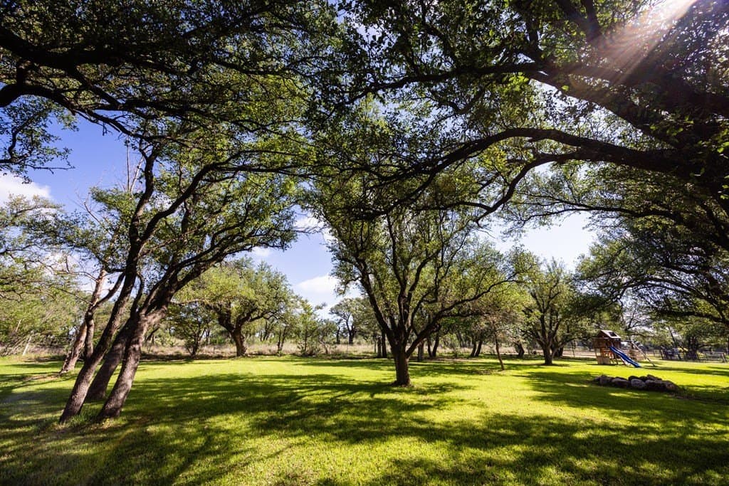 10 acres in Gillespie County - photo 6