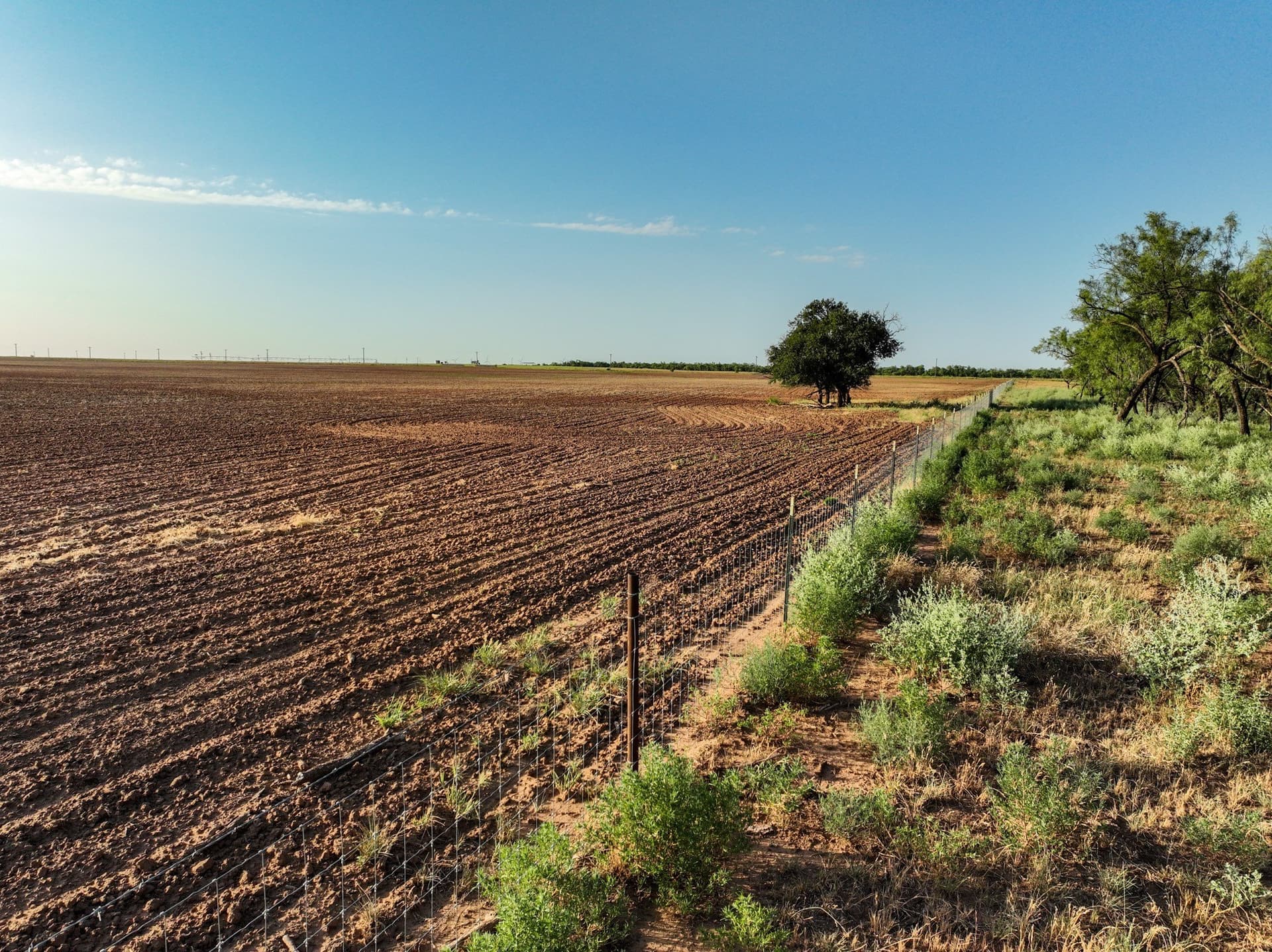 80 acres in Knox County