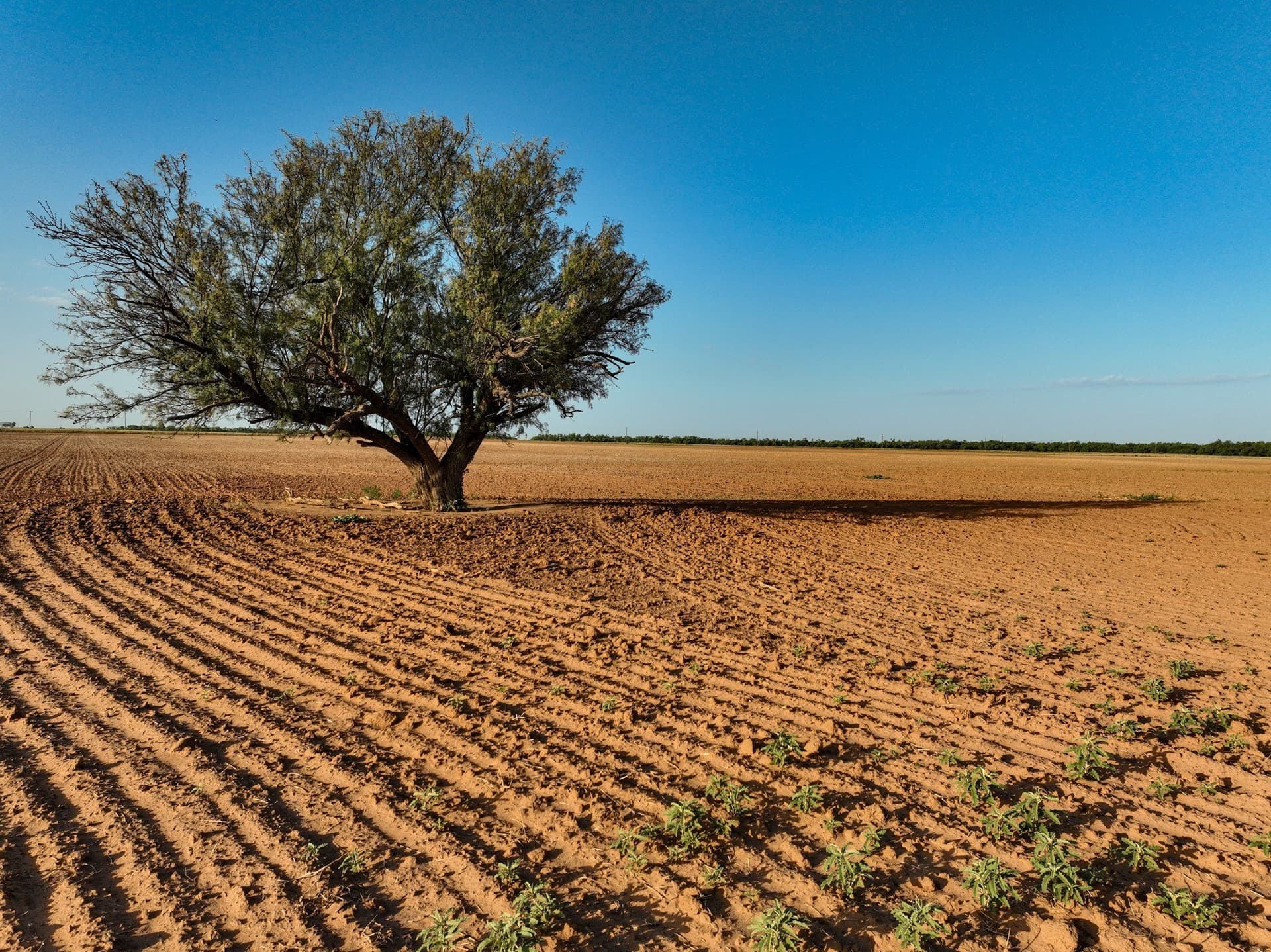 80 acres in Knox County - photo 10