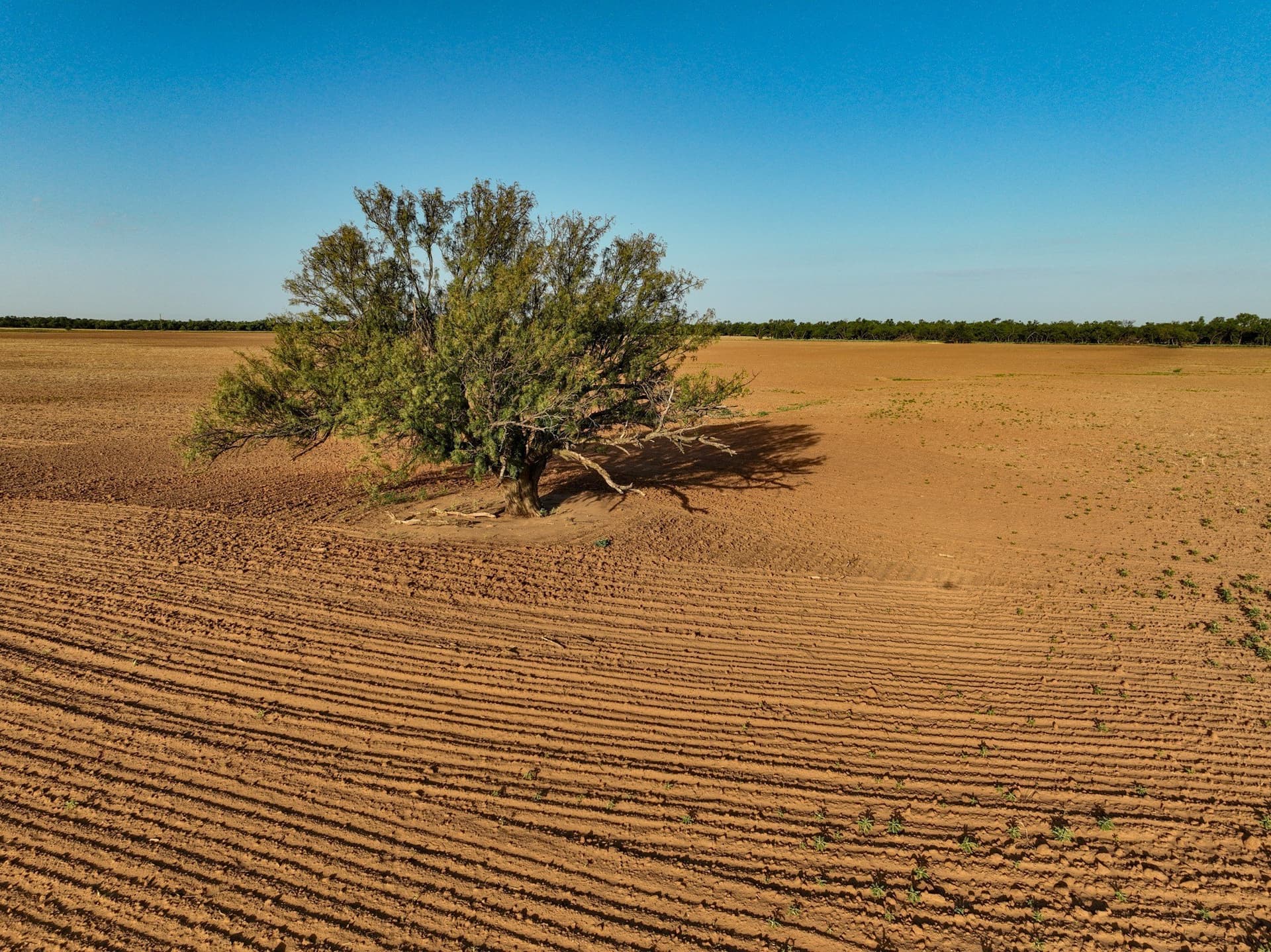 80 acres in Knox County - photo 9