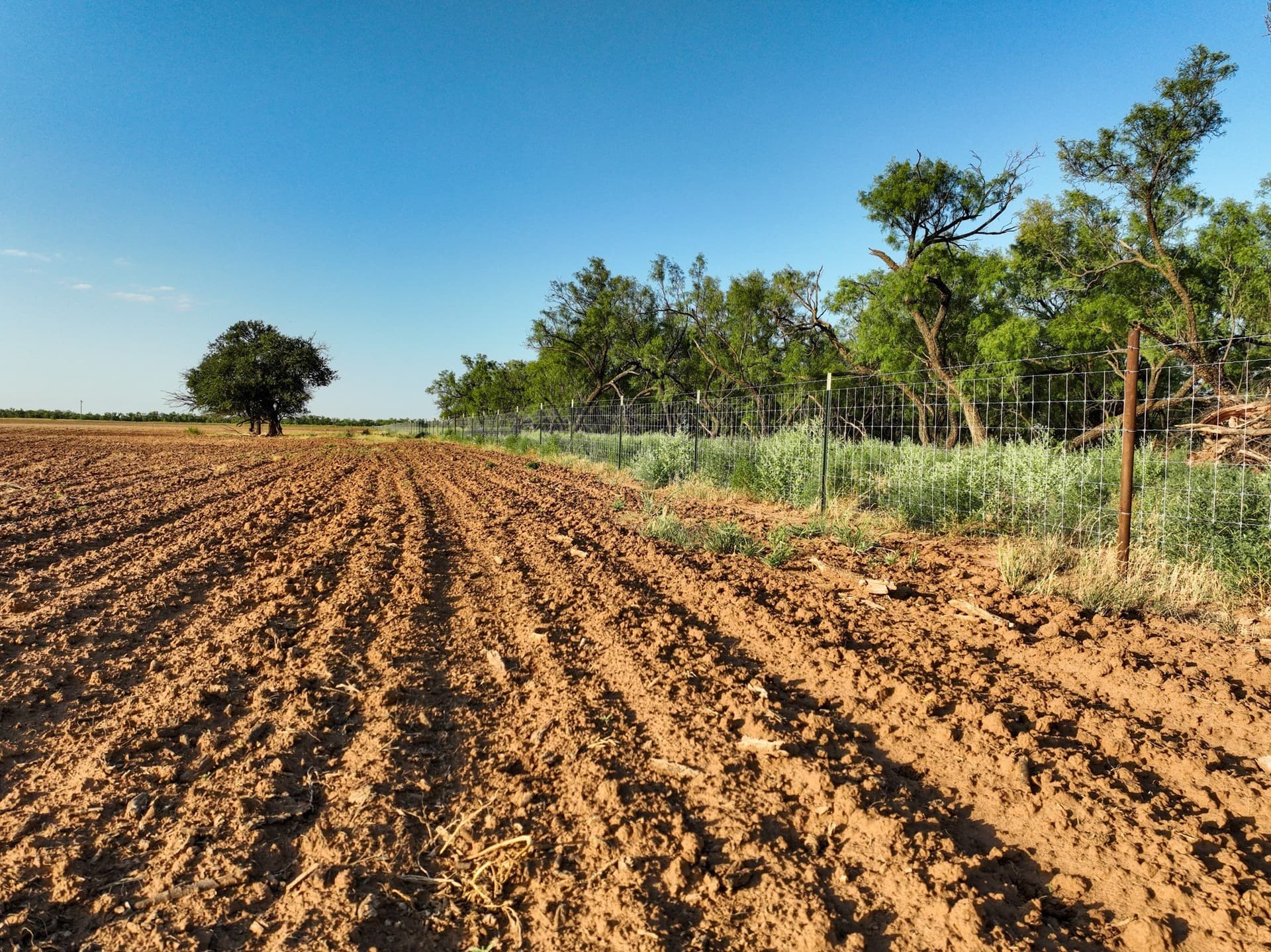 80 acres in Knox County - photo 13