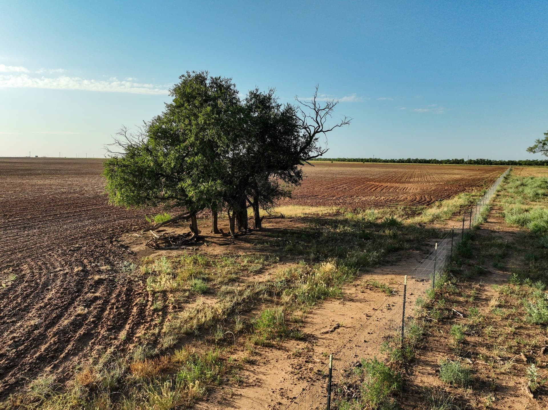 80 acres in Knox County gallery image 2