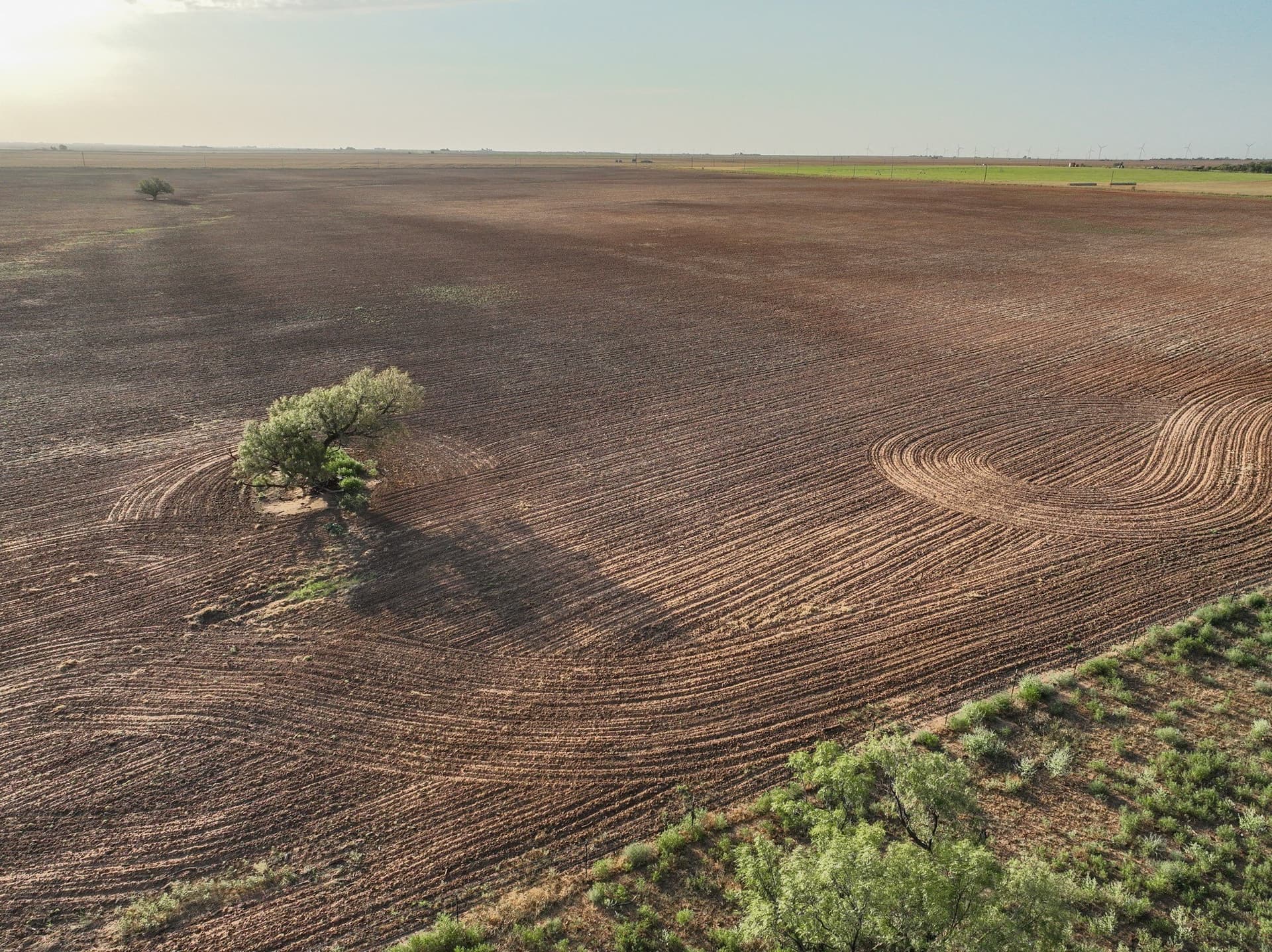 80 acres in Knox County - photo 15